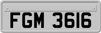FGM3616