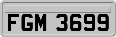 FGM3699