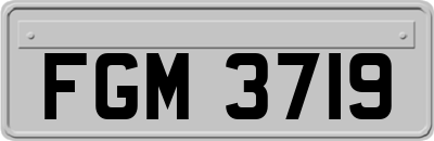 FGM3719