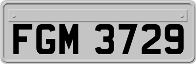FGM3729