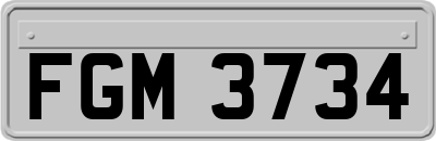 FGM3734