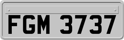 FGM3737