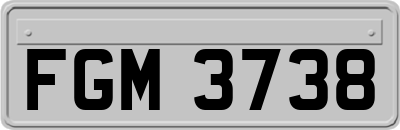 FGM3738