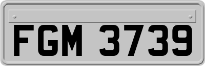 FGM3739