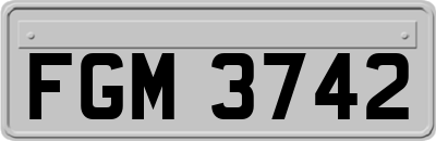 FGM3742