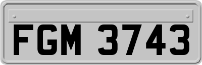 FGM3743