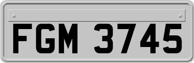 FGM3745