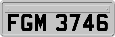 FGM3746
