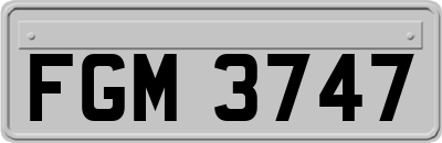 FGM3747