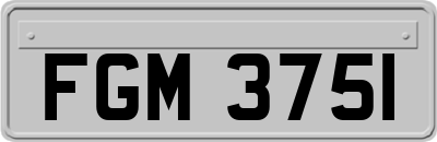 FGM3751