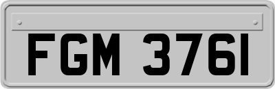 FGM3761