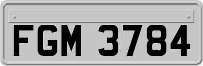 FGM3784