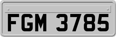 FGM3785