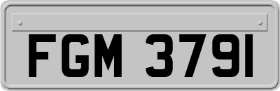FGM3791