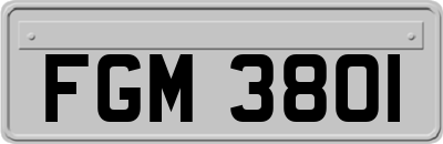 FGM3801