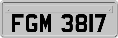 FGM3817