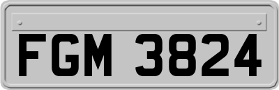 FGM3824