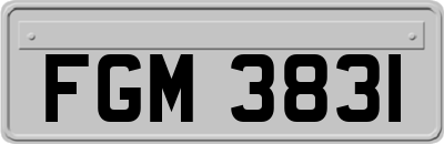 FGM3831