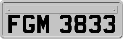 FGM3833