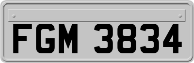 FGM3834