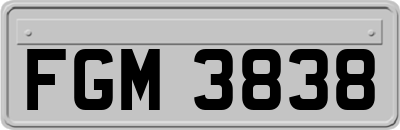 FGM3838