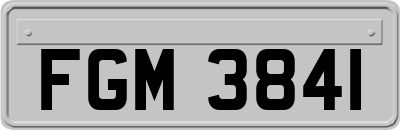 FGM3841