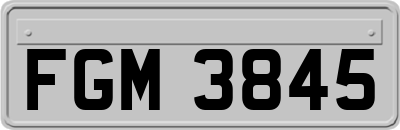 FGM3845