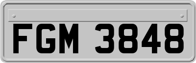 FGM3848