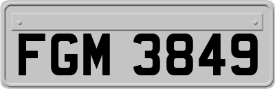 FGM3849