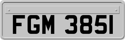 FGM3851