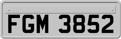 FGM3852