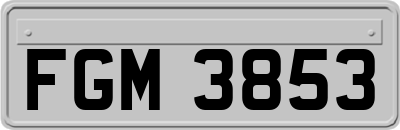 FGM3853