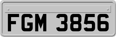 FGM3856