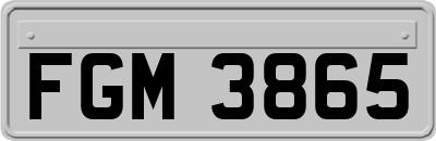 FGM3865