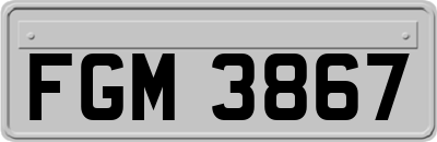 FGM3867