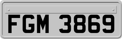 FGM3869