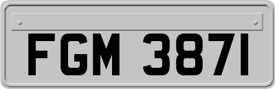 FGM3871