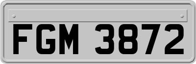 FGM3872