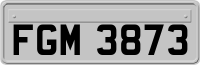 FGM3873