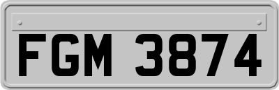 FGM3874