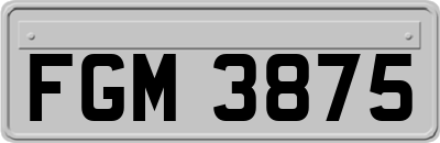 FGM3875