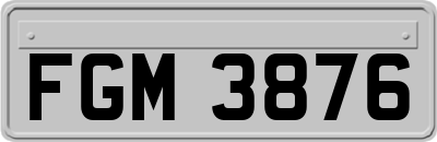 FGM3876