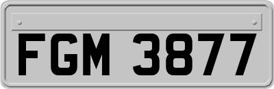 FGM3877