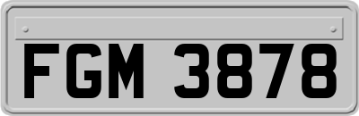 FGM3878