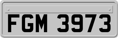 FGM3973