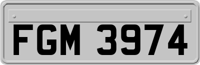 FGM3974