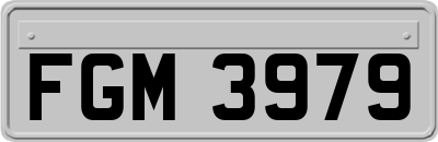 FGM3979