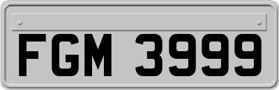 FGM3999