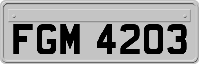 FGM4203