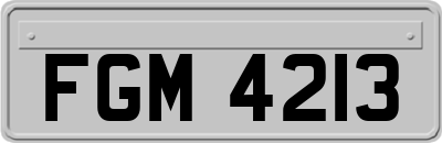 FGM4213
